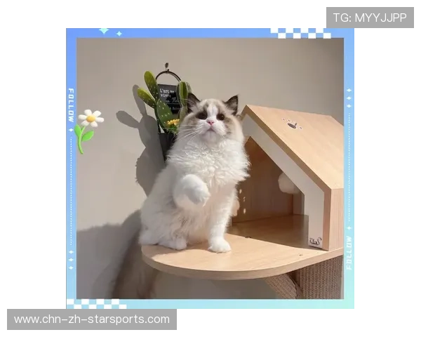 [选手名]晒出的日常：在繁忙的赛程中，逗猫成了他唯一的解压方式，太萌了🐱