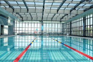 星空官网-世界游泳锦标赛中国运动员连续夺牌，世界游泳锦标赛中国运动员连续夺牌几次